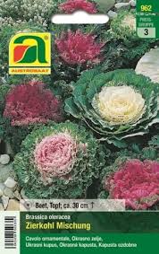 Check spelling or type a new query. Austrosaat Ornamental Cabbage Mixture 1 Package Bloomling International
