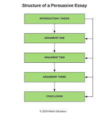 Convincing Essay Example English Guide Year How To Write