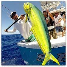 10 Top Saltwater Fishing Destinations In The Us Best Places To Fish Ocean Fishing Salt Water Fishing Destin Fishing