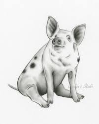 Spotted Pig Art Charcoal Drawing 810 Giclee Etsy Animal Drawings Pig Art Pig Illustration