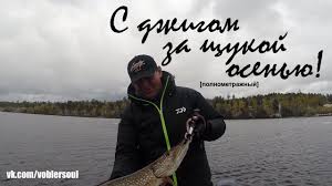 Lovlya Shuki Na Dzhig Spinning Osenyu Video Otchet Ot 11 10 2015 G Youtube