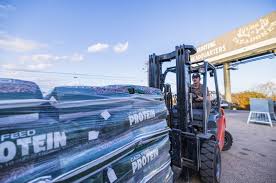 🚨STONEWALL PREDATOR RESULTS ARE IN🚨 1ST PLACE MAIN POT + MOST FOX: