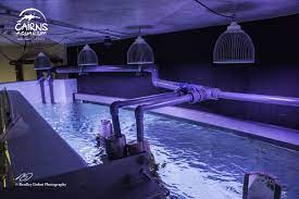 Led Public Aquarium Lighting Public Aquarium Aquarium Lighting Queensland Australia