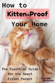 How To Kitten Proof Your Home Furratic Behavior In 2020 Kitten Proofing Kitten Care Getting A Kitten