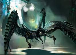 Image result for Psydrax martinii