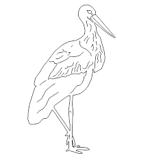 Ausmalbilder von storch zum drucken ausmalbilder kostenlos. Storch Das Download Portal Fur Dxf Dwg Dateien
