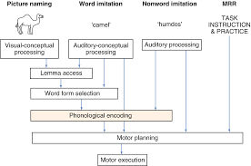 Diagnosis And Differential Diagnosis Of Developmental