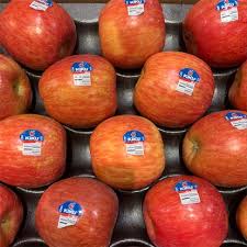 Check out our rose apple selection for the very best in unique or custom, handmade pieces from our craft supplies & tools shops. Kiku Apples Information And Facts