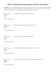 Transcription and translation practice worksheet example: Transcription And Translation Practice Worksheet Answer Key Worksheet List