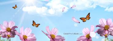 9cover presents you the flowers nature photo cover for free and high definition quality. Spring Pink Flowers Butterflies Facebook Cover Nature