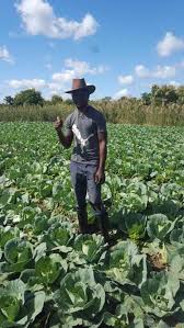 Listen to baba ndiri mwana wenyu by harare west m.u.m.c, 6 shazams. Musicas Zimbabweanas Home Facebook