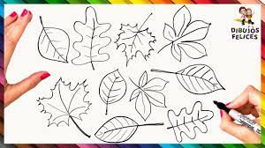 Como Dibujar Una Hoja De Otono Paso A Paso Dibujo Facil De Hoja De Otono Youtube Dibujar es una de mis aficiones, en este canal compartire mis dibujos, disenos y aprendizajes con todos vosotros. como dibujar una hoja de otono paso a paso dibujo facil de hoja de otono