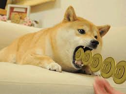 You can mine dogecoin either solo, or by joining a mining pool. What Is Dogecoin Complete Guide 2021 Bitnovo Blog