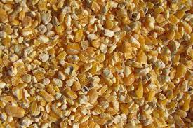 We carry loally made dairy, beef, calf, sheep, goat, poulty, swine, equine feeds. Attract Wild Birds With Cracked Corn