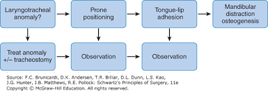 plastic and reconstructive surgery schwartzs principles