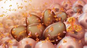 Check spelling or type a new query. Finding A Formula For Blood Cancer Vaccine Healthcare In Europe Com