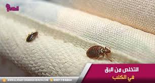التخلص من البق في الكنب والملابس والفرش Stud Earrings