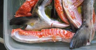 Cooking Salmon Heads Bones Bellies Cooking Salmon Salmon Bellies Salmon Head Recipe