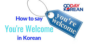 Жизнь в альтернативном мире с нуля. How To Say You Re Welcome In Korean What To Avoid