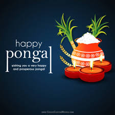 free pongal greeting cards maker online create custom wishes free pongal greeting cards maker online