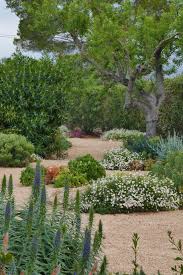 Mediterranean Dry Garden Planting Mediterranean Garden Mediterranean Plants Mediterranean Landscaping