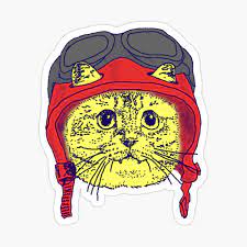 We did not find results for: Moto Kitty Always Wears A Helmet For Safety Poster By Studiozandra Redbubble