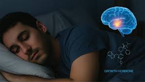 Image result for Sleep
