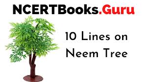 We did not find results for: 10 Lines On Neem Tree For Students And Children In English Ncert Books