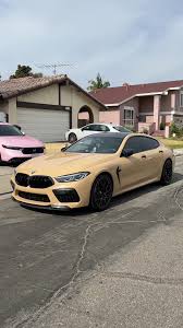 Image result for Gris Beige 1988 ARO