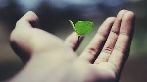 Beautiful stories that define the best meaning of LIFE…
