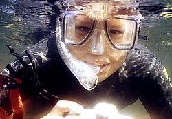 Portal:Underwater diving