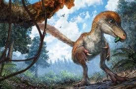 L'évolution de la terre jusqu'à l'extinction des dinosaures. Dinosaures Avaient Ils Tous Des Plumes Quebec Science