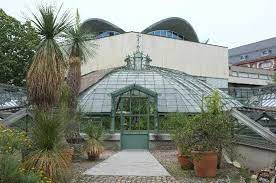 Der botanische garten der universität basel bietet eine spannende pflanzenvielfalt und ist eine gepflegte oase der ruhe mitten in der stadt. Botanischer Garten Der Universitat Basel Aktuelle 2021 Lohnt Es Sich Mit Fotos Tripadvisor