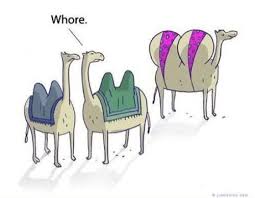 Most people like to hear a good joke. Camel