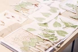 We did not find results for: Eco Printing Teknik Cetak Yang Menggunakan Bahan Bahan Alam