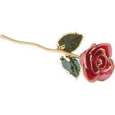 Pressing them in an absorbent sheet of paper is another method. Pink 24k Gold Dipped Rose
