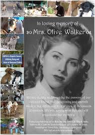 Joy, peace, tears, and anxiety filled the year 2014