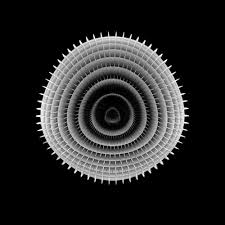 G planter hari raya celebration. Swissmiss Hypnotic Animated Gifs