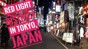 Red Light District At Night In Tokyo Japan Red Light District Light Red Tokyo