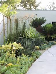 What Are The Perennial Plants Of Flowerbed Succulent Landscape Design Small Backyard Landscaping Low Water Landscaping