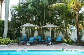 Read real reviews, and get agoda's best price guarantee. Four Points By Sheraton Fort Lauderdale Airport Cruise Port Review What To Really Expect If You Stay