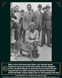 What kind of animal did josephine baker have? Sephina Spirits On Twitter A Paris Club Owner Gave Baker A Pet Cheetah Named Chiquita To Use As Part Of Her Dance Show She Liked Chiquita So Much The Cat Stayed With