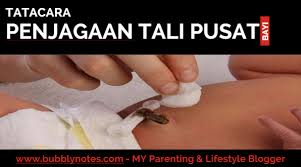 Namun, akan ada sisa bagian yang masih menempel dan perlu dirawat dengan. Tatacara Penjagaan Tali Pusat Bayi Bubblynotes Malaysia Parenting Lifestyle Blog
