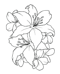 Lotus Flower Outline Lotus Flower Drawings Flower Drawing Simple Flower Tattoo