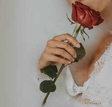For many of us, roses are red, violets are blue was our first poem. 33 Hilarious Roses Are Red Poems To Send To Your Forever Person Or Your Ex Thought Catalog