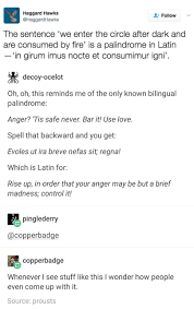 I Wouldn T Call Them Palindromes But Emordnilaps Words Writing Fun Facts