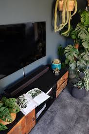 Een Boek Vol Planten Urban Jungle Zosammieenzo Planten Kamerplanten Boeken