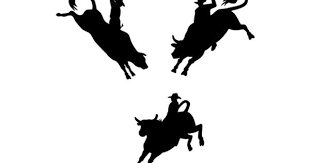 Three Rodeo Cowboy Bull Riding Retro Bull Riding Bronc Riding Bucking Bulls