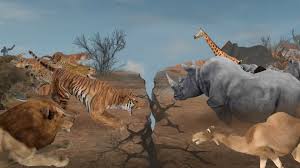 Wild Animals Online Wild Animals Online Animals Wild Animals Law Of The Jungle