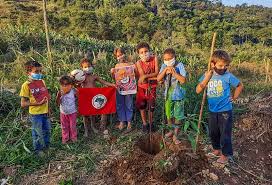 Sem Terrinha: alimenta&ccedil;&atilde;o saud&aacute;vel e produ&ccedil;&atilde;o de alimentos | Cultura